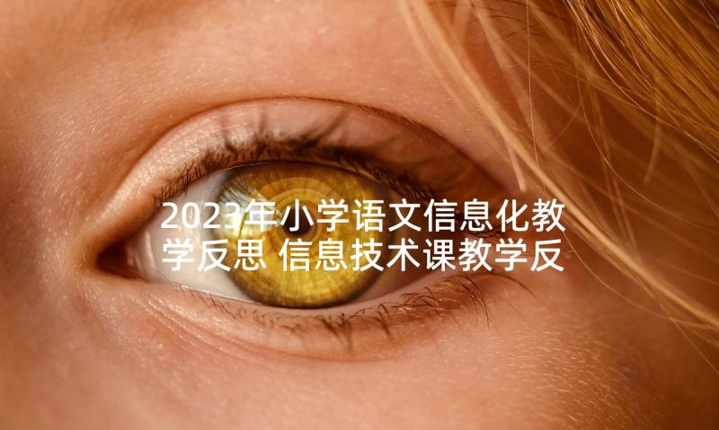 2023年小学语文信息化教学反思 信息技术课教学反思(模板5篇)
