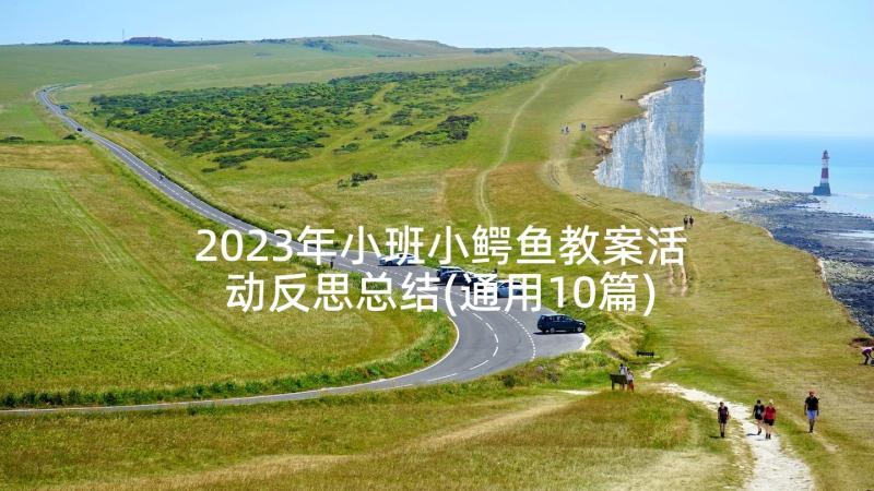 2023年小班小鳄鱼教案活动反思总结(通用10篇)