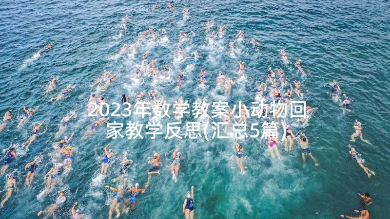 2023年数学教案小动物回家教学反思(汇总5篇)