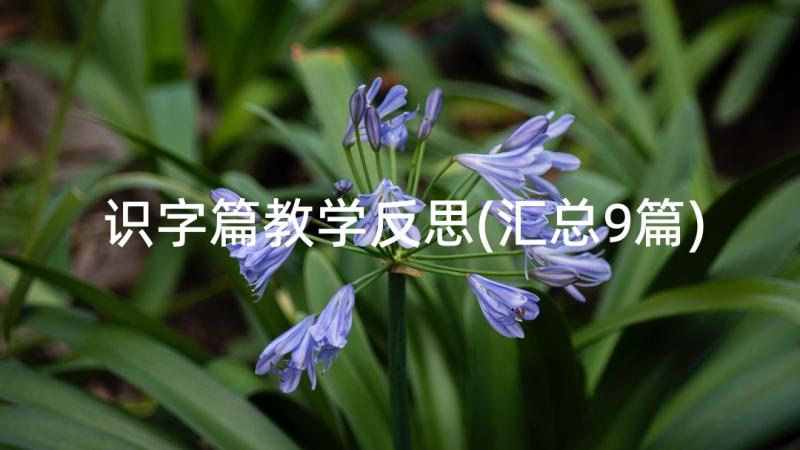 识字篇教学反思(汇总9篇)