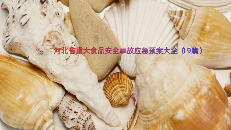 河北省重大食品安全事故应急预案大全（19篇）