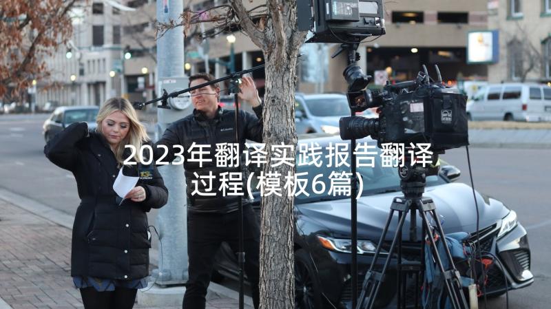 2023年翻译实践报告翻译过程(模板6篇)