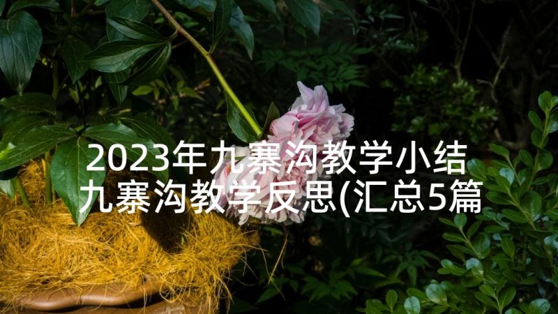 2023年九寨沟教学小结 九寨沟教学反思(汇总5篇)