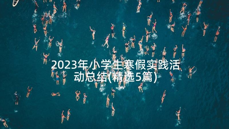 2023年小学生寒假实践活动总结(精选5篇)