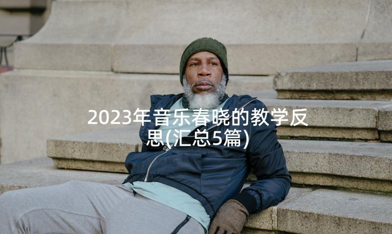 2023年音乐春晓的教学反思(汇总5篇)