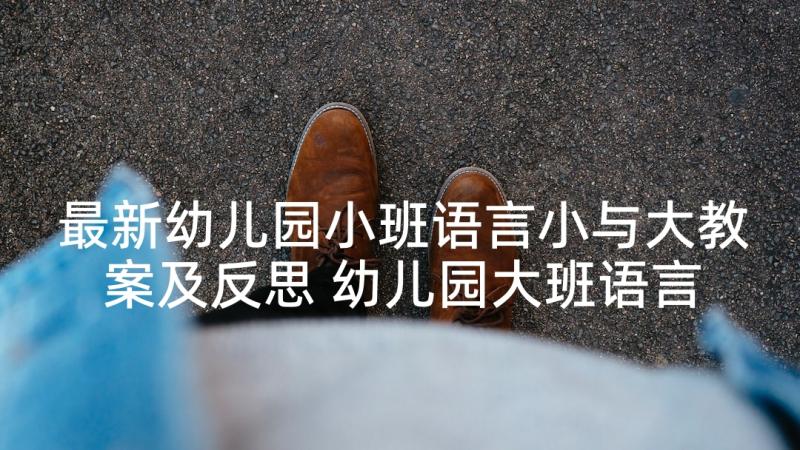 最新幼儿园小班语言小与大教案及反思 幼儿园大班语言活动教学反思(模板8篇)