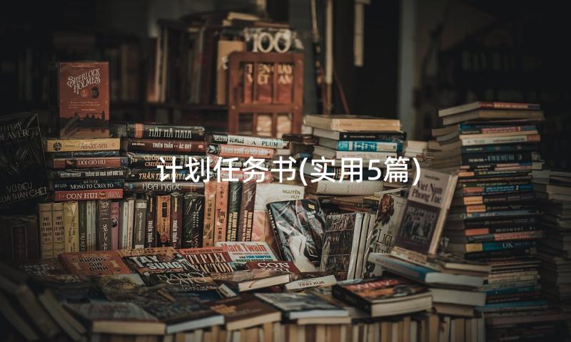 计划任务书(实用5篇)