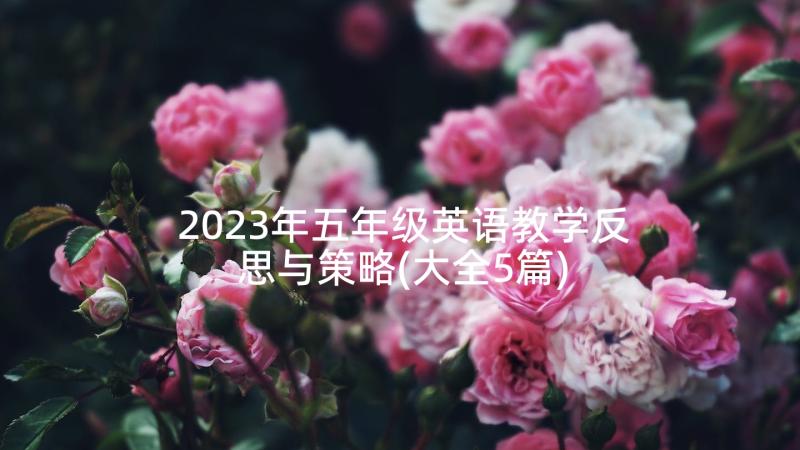 2023年五年级英语教学反思与策略(大全5篇)