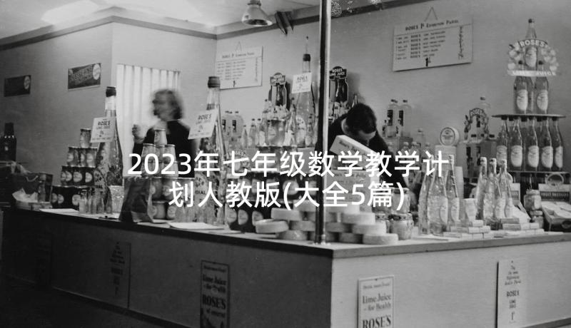 2023年七年级数学教学计划人教版(大全5篇)