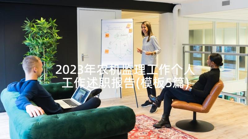 2023年农机监理工作个人工作述职报告(模板5篇)