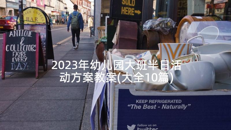 2023年幼儿园大班半日活动方案教案(大全10篇)