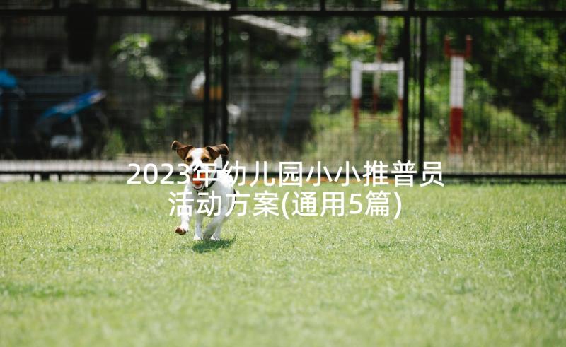 2023年幼儿园小小推普员活动方案(通用5篇)