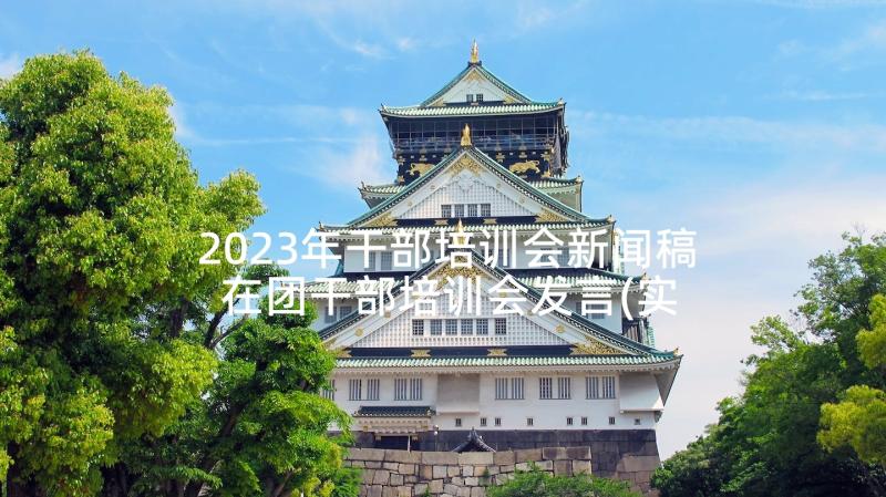 2023年干部培训会新闻稿 在团干部培训会发言(实用5篇)