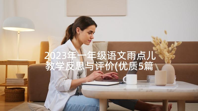 2023年一年级语文雨点儿教学反思与评价(优质5篇)