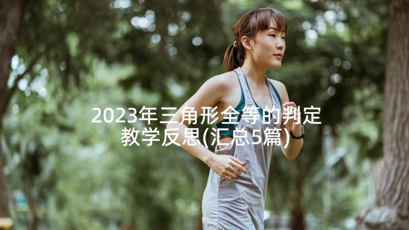 2023年三角形全等的判定教学反思(汇总5篇)