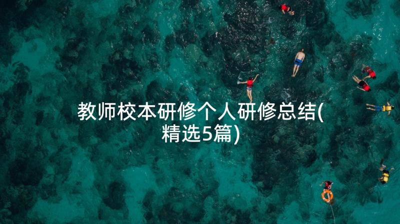 教师校本研修个人研修总结(精选5篇)