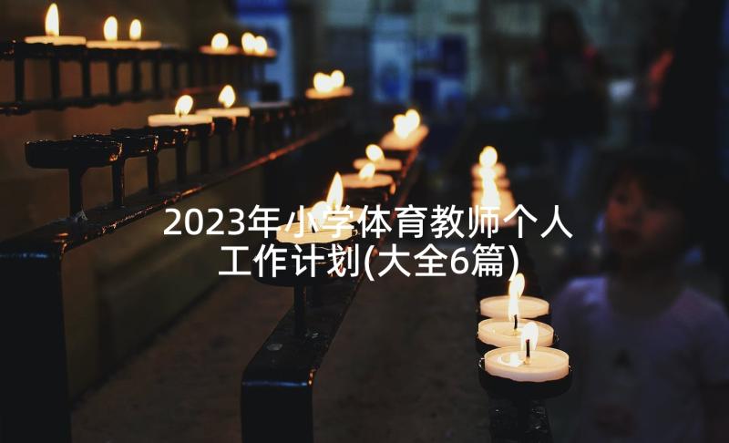 2023年小学体育教师个人工作计划(大全6篇)