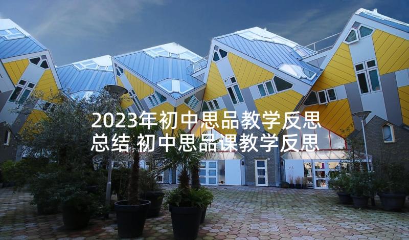 2023年初中思品教学反思总结 初中思品课教学反思(精选8篇)