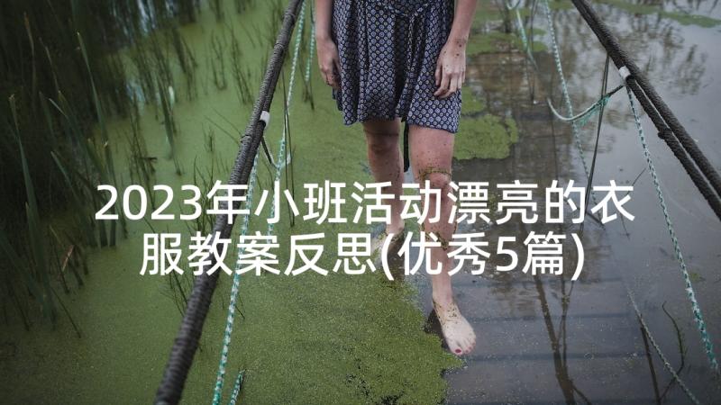 2023年小班活动漂亮的衣服教案反思(优秀5篇)