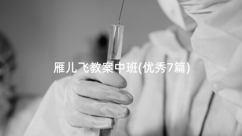 雁儿飞教案中班(优秀7篇)