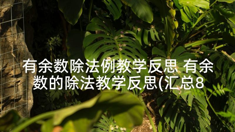 有余数除法例教学反思 有余数的除法教学反思(汇总8篇)