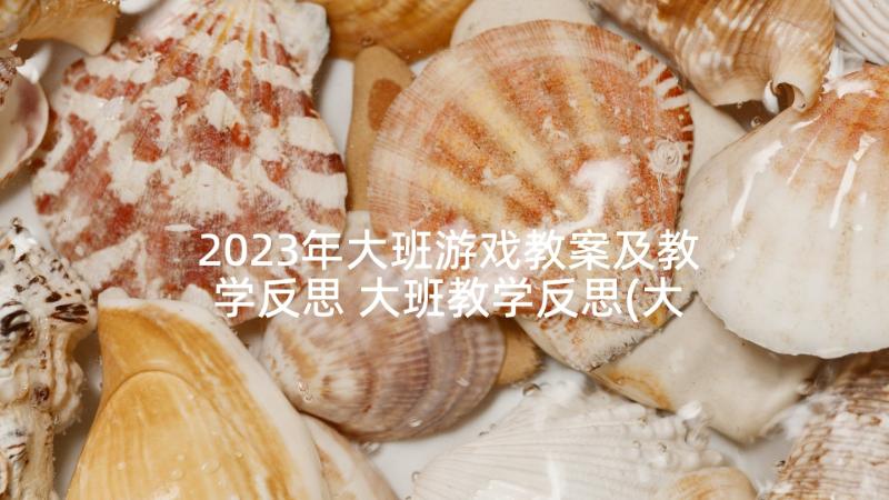 2023年大班游戏教案及教学反思 大班教学反思(大全7篇)