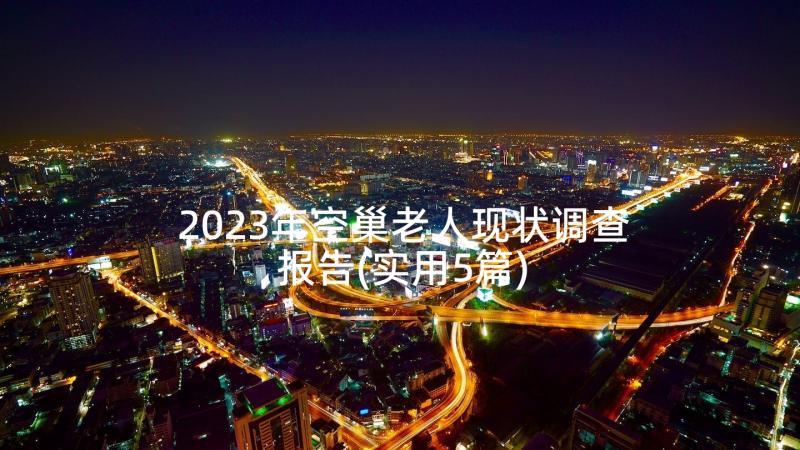 2023年空巢老人现状调查报告(实用5篇)