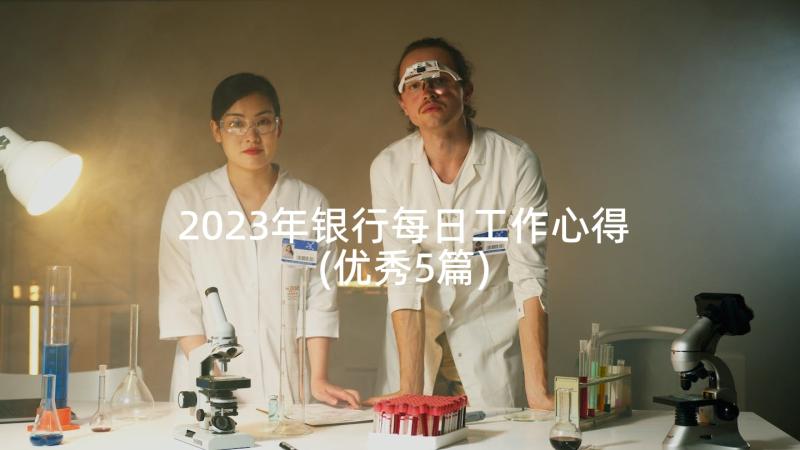 2023年银行每日工作心得(优秀5篇)