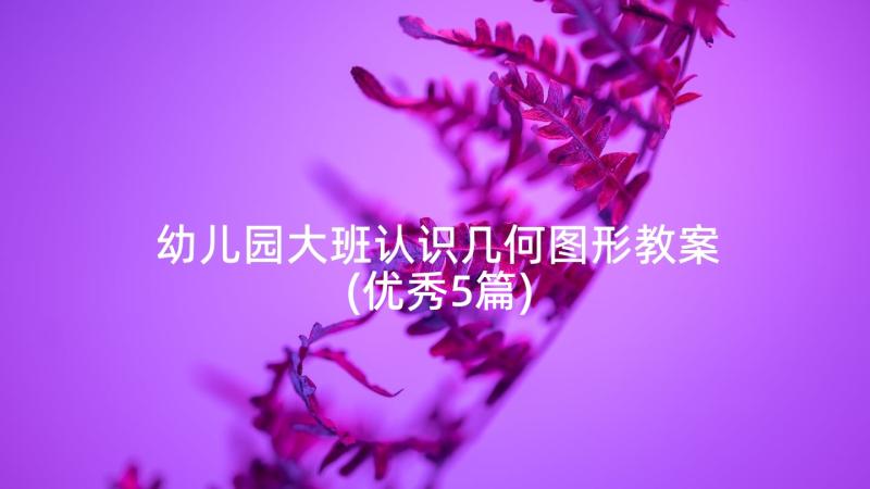 幼儿园大班认识几何图形教案(优秀5篇)