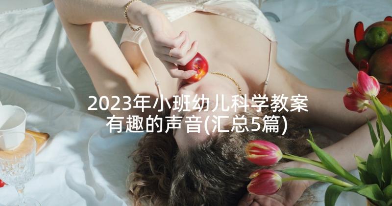 2023年小班幼儿科学教案有趣的声音(汇总5篇)