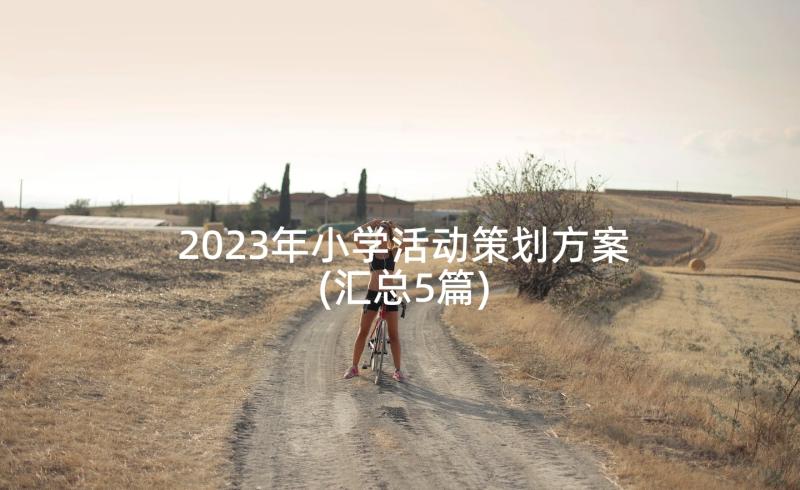 2023年小学活动策划方案(汇总5篇)