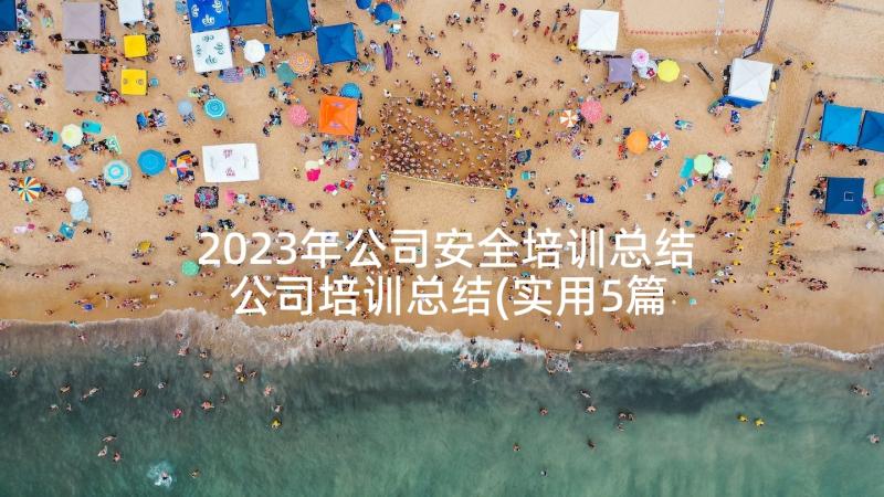 2023年公司安全培训总结 公司培训总结(实用5篇)