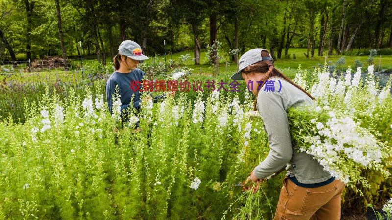 收到捐赠协议书大全（17篇）