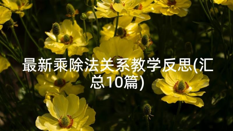 最新乘除法关系教学反思(汇总10篇)