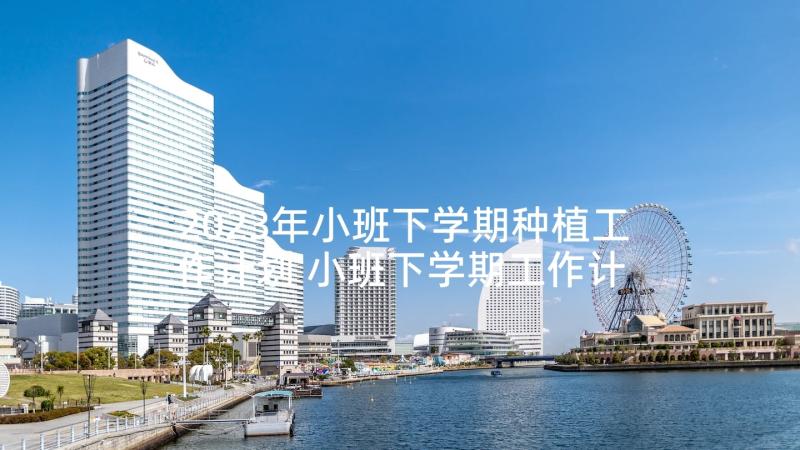 2023年小班下学期种植工作计划 小班下学期工作计划(汇总10篇)