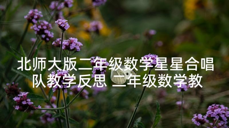 北师大版二年级数学星星合唱队教学反思 二年级数学教学反思(精选10篇)