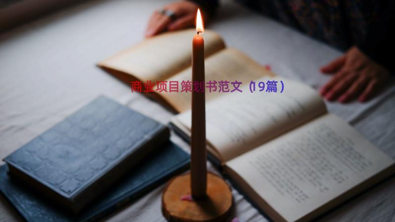 商业项目策划书范文（19篇）