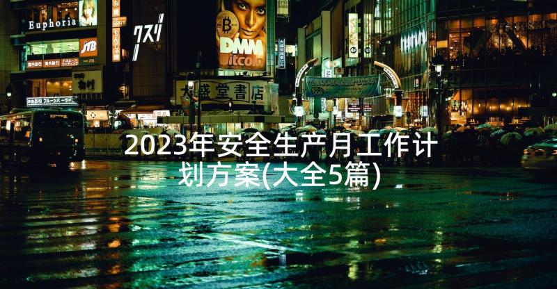 2023年安全生产月工作计划方案(大全5篇)