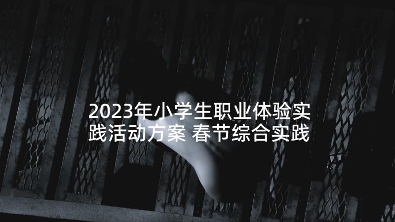 2023年小学生职业体验实践活动方案 春节综合实践活动方案(优质5篇)