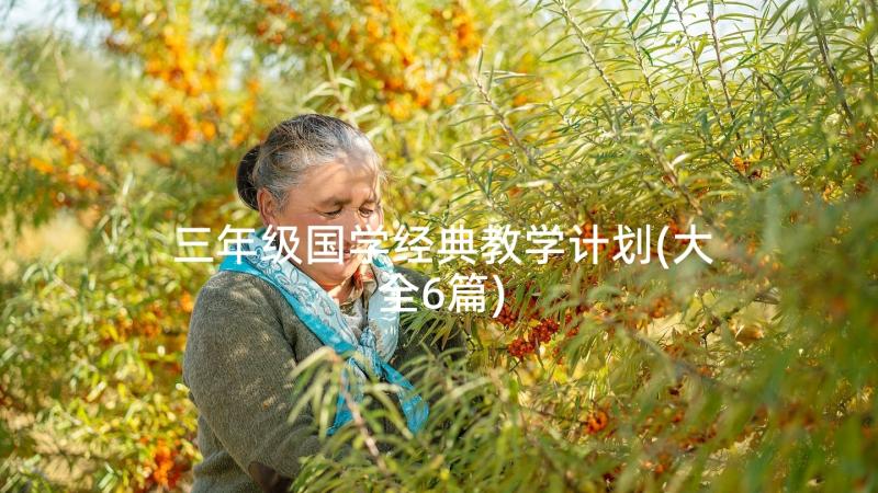 三年级国学经典教学计划(大全6篇)