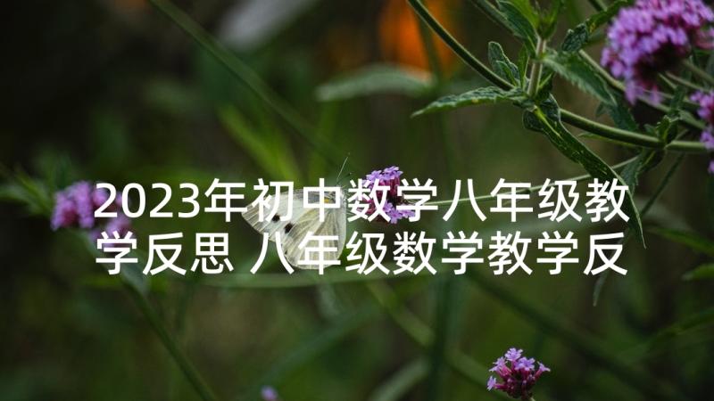 2023年初中数学八年级教学反思 八年级数学教学反思(通用9篇)