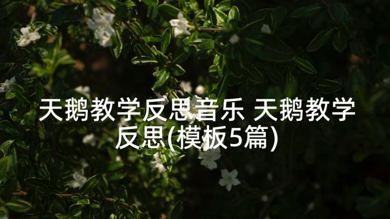 天鹅教学反思音乐 天鹅教学反思(模板5篇)