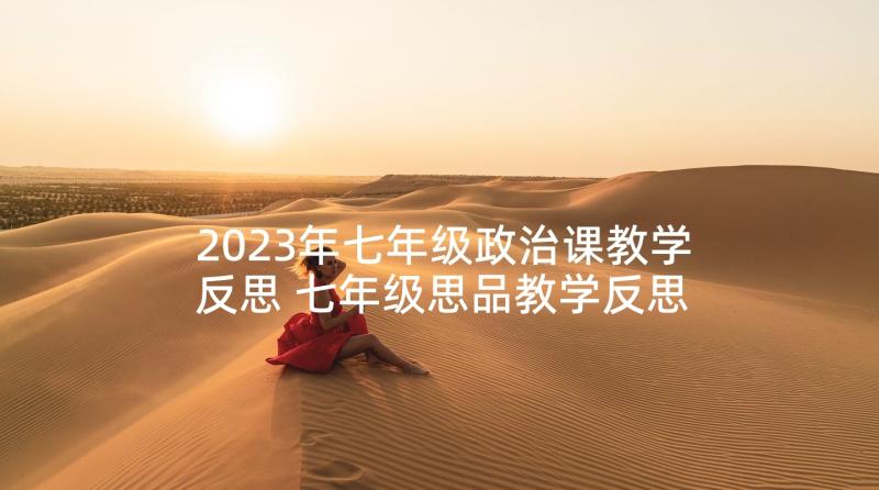 2023年七年级政治课教学反思 七年级思品教学反思(实用8篇)