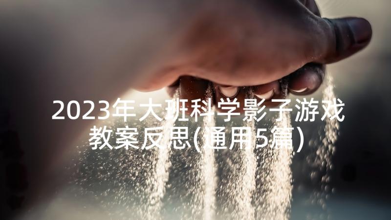 2023年大班科学影子游戏教案反思(通用5篇)