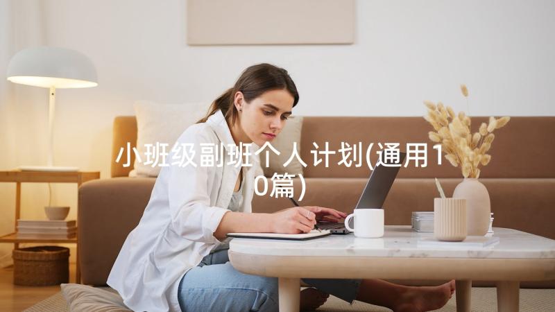 小班级副班个人计划(通用10篇)