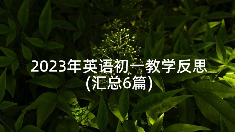 2023年英语初一教学反思(汇总6篇)