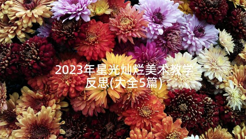 2023年星光灿烂美术教学反思(大全5篇)