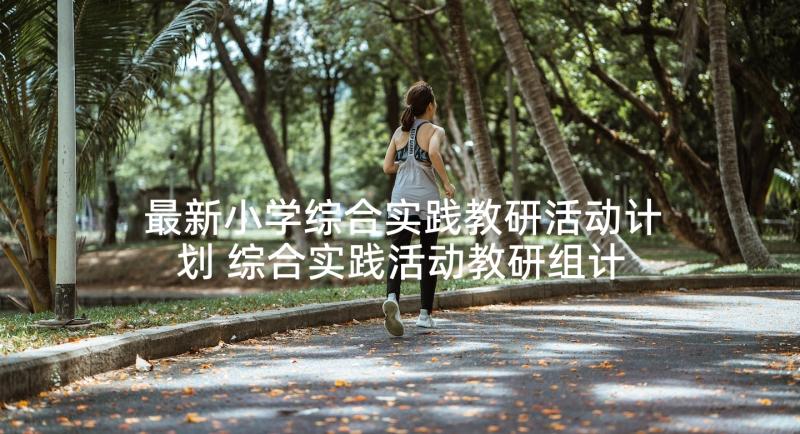 最新小学综合实践教研活动计划 综合实践活动教研组计划(优质10篇)