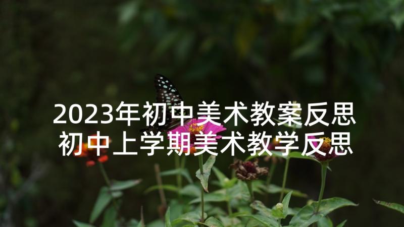 2023年初中美术教案反思 初中上学期美术教学反思(优秀7篇)