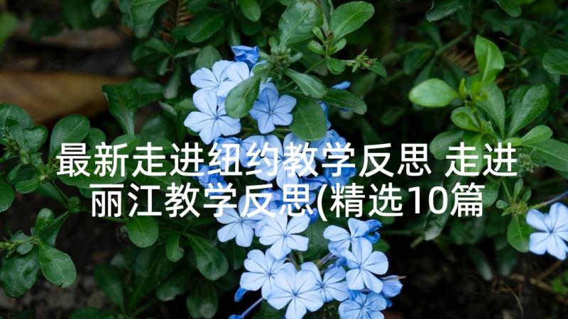 最新走进纽约教学反思 走进丽江教学反思(精选10篇)